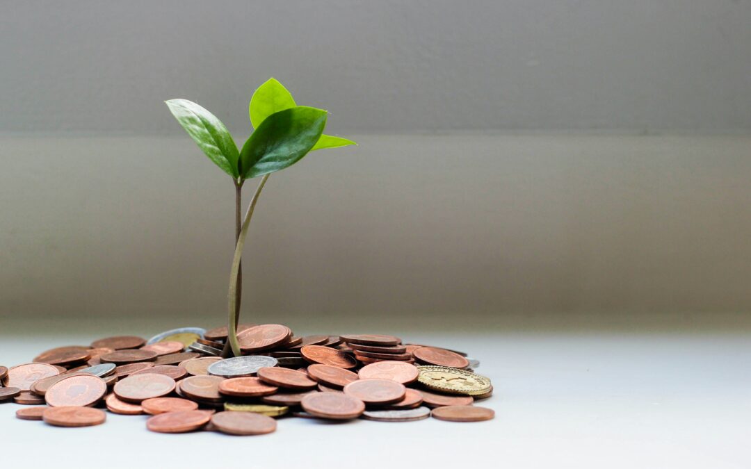 Cash pooling and how to use it